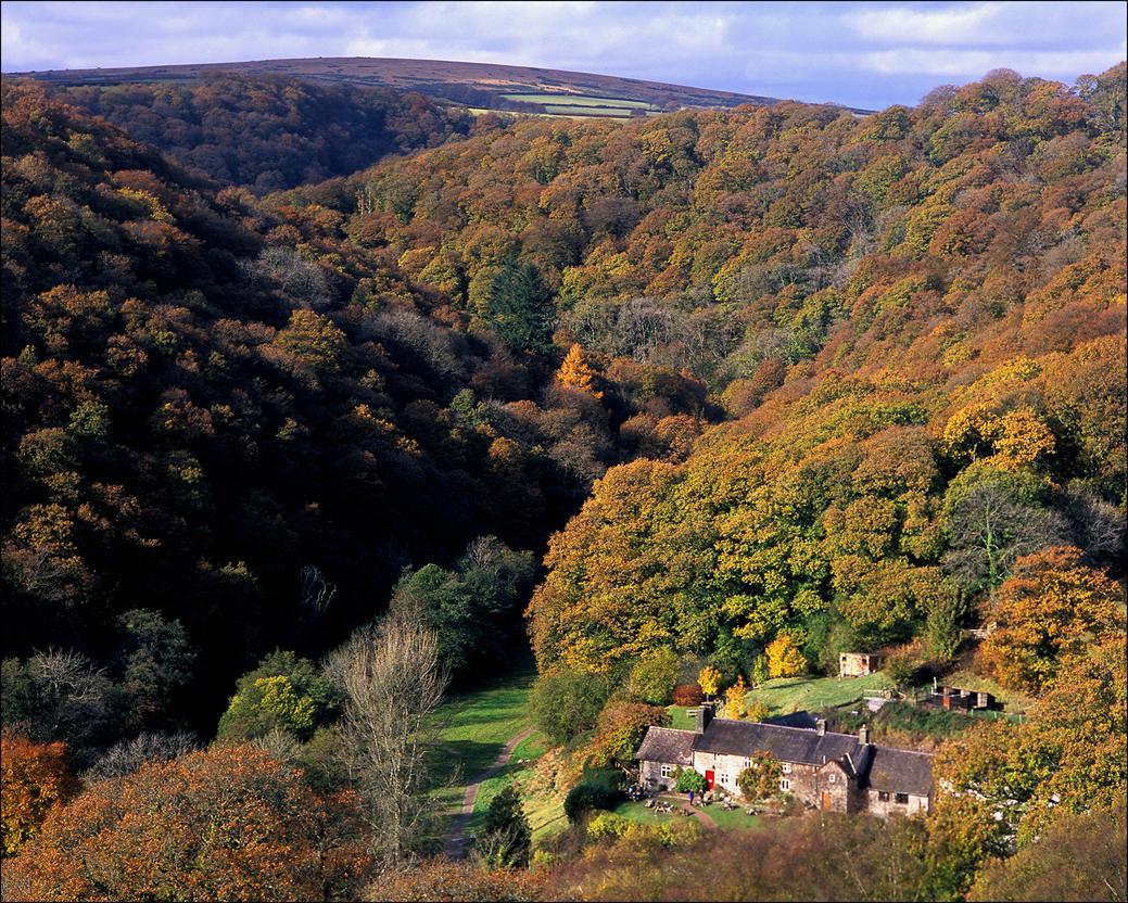 Tarr Farm Inn Liscombe Экстерьер фото